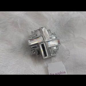 Lia Sophia Superluxe Pendant /Pin